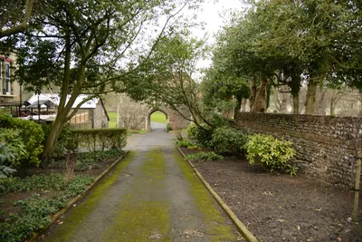 DSC_1261 (Large).JPG